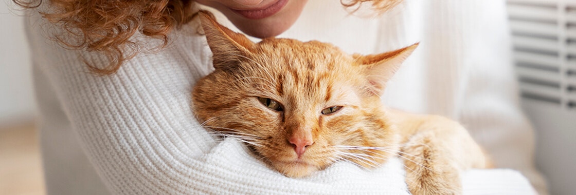 A woman smiling as she holds a relaxed cat in her arms