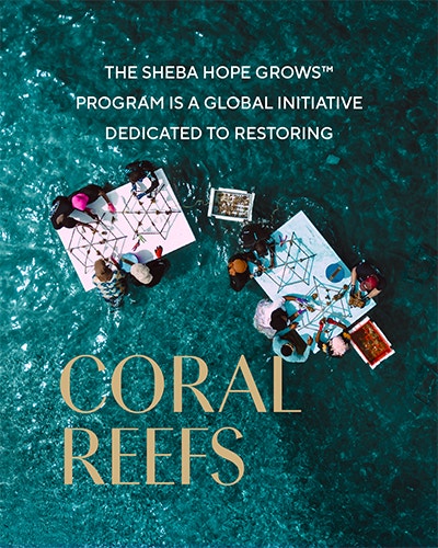 Coral Reefs
