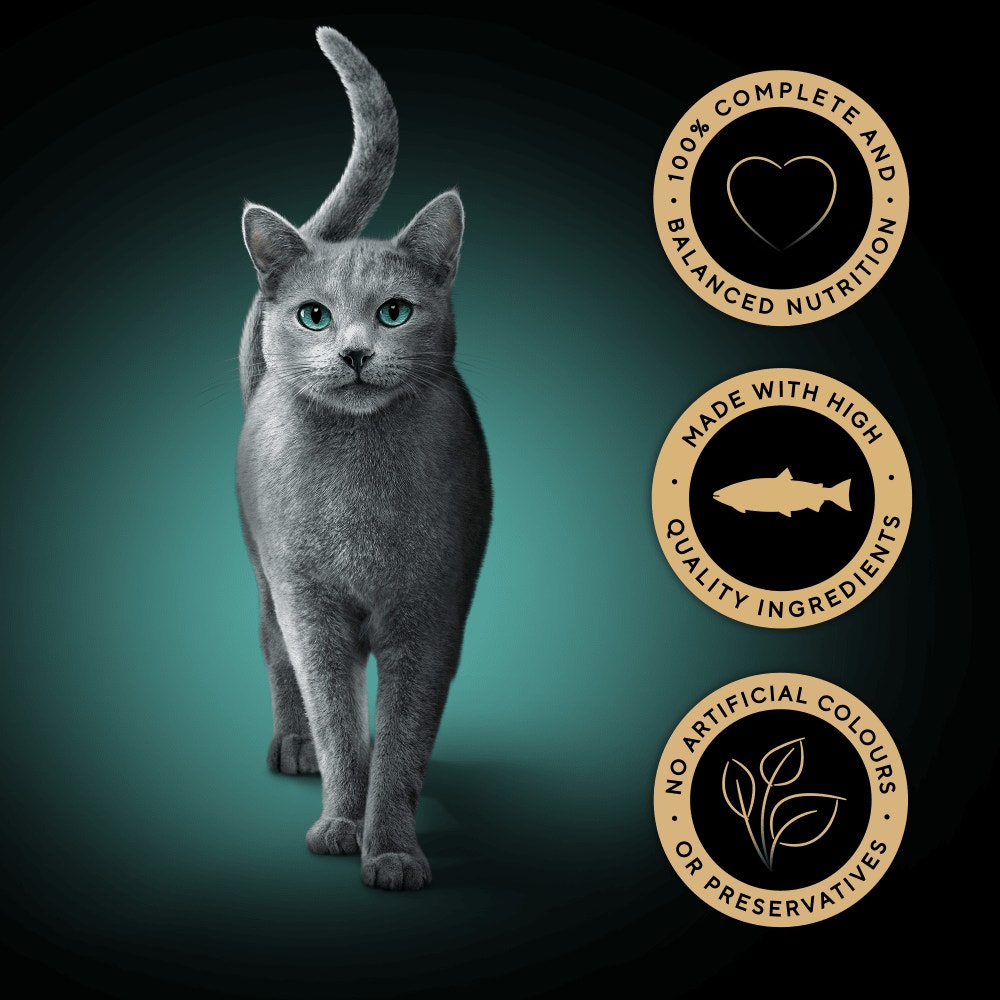 SHEBA® PERFECT PORTIONS™ Adult Wet Cat Food Salmon Loaf 3 x 2 x 37.5g Tray - 3