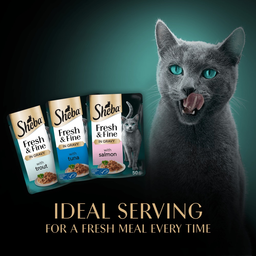 SHEBA® Fresh & Fine Adult Wet Cat Food Salmon & Tuna in Gravy 6x50g Pouches - 4
