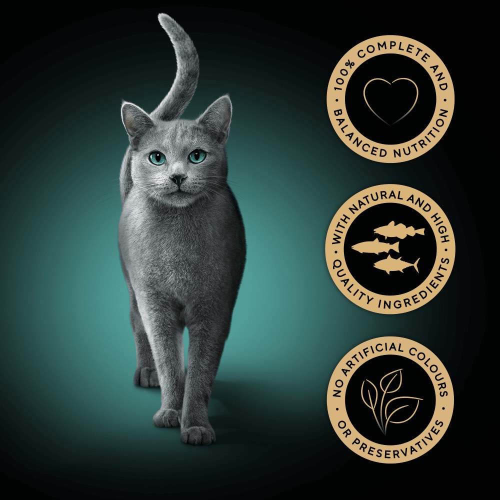 SHEBA® Fresh & Fine Adult Wet Cat Food Fish In Gravy Pouches 50x50g,15x50g - 3