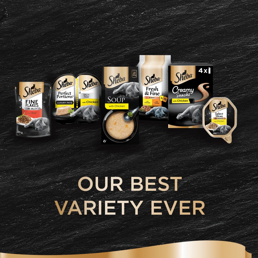 Sheba Classics Soup Adult Wet Cat Food Pouches with Chicken Filets 4 x 40g - 4