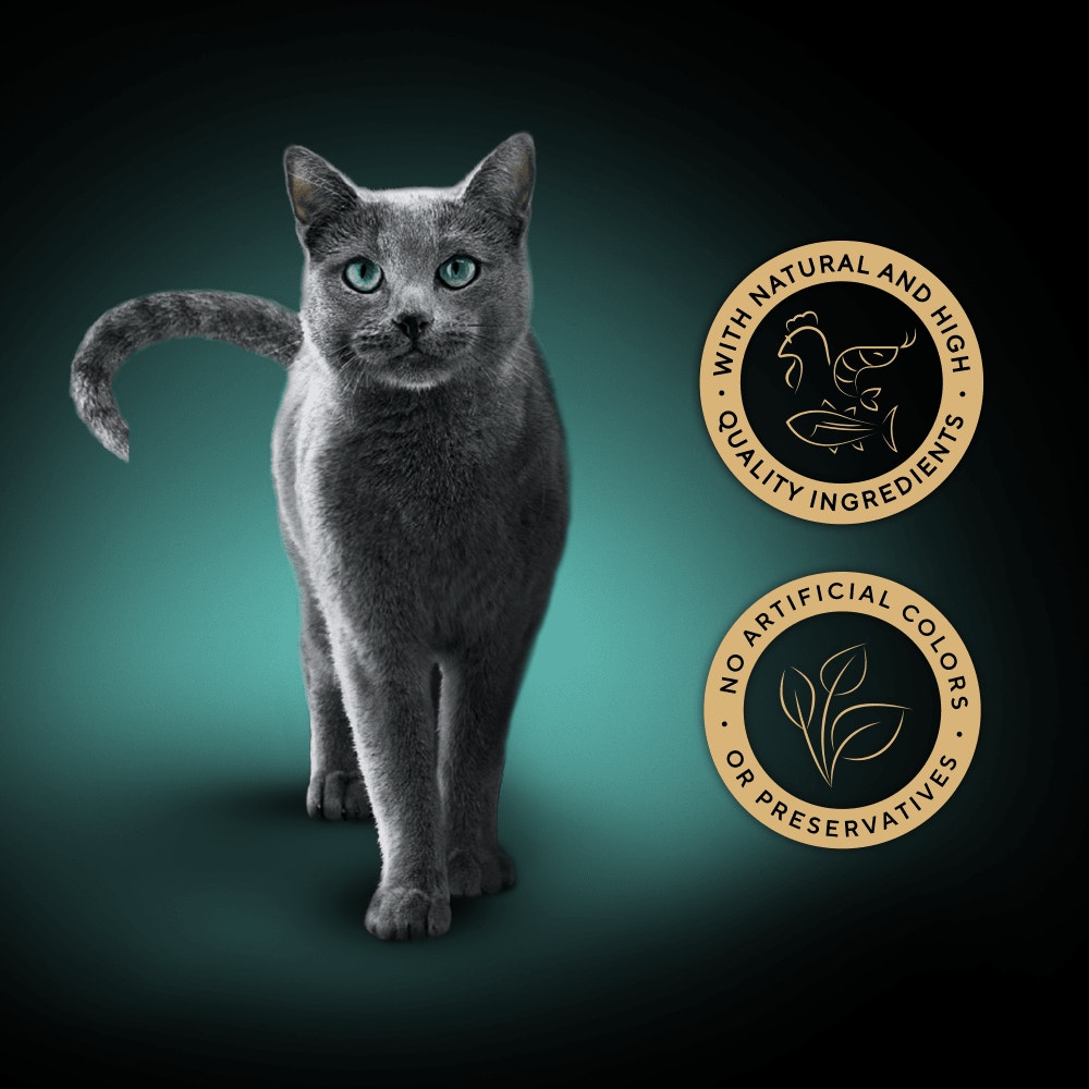 SHEBA® Filets Adult Cat Food with Chicken and Fish in Gravy 60g Tray - 3