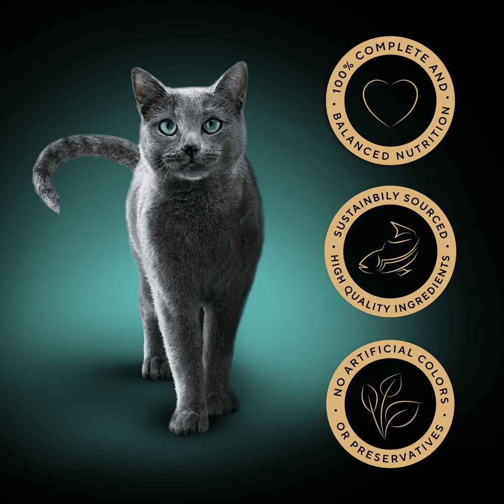 SHEBA® Classics Wet Cat Food Tray Salmon in Terrine 85g - 3