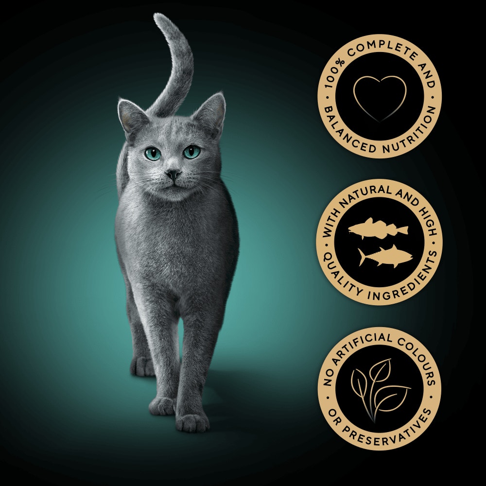 SHEBA® Fresh & Fine Adult Wet Cat Food Tuna and Cod in Gravy 6x50g Pouches - 3