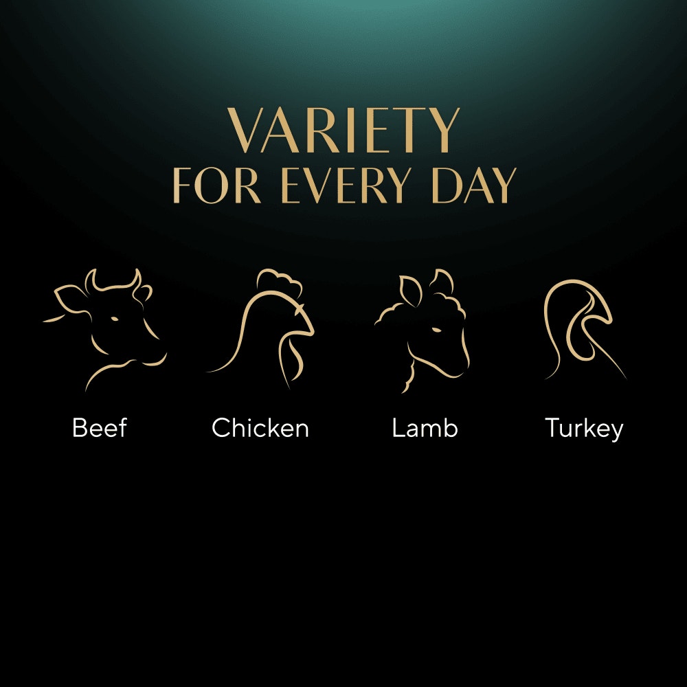 SHEBA® Sauce Collection Adult Cat Food  Succulent Selection 12 x 85g Pouch - 4