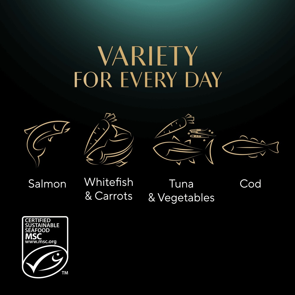 SHEBA® Classics Adult Wet Cat Food Ocean Selection in Terrine 32 x 85g Tray - 4