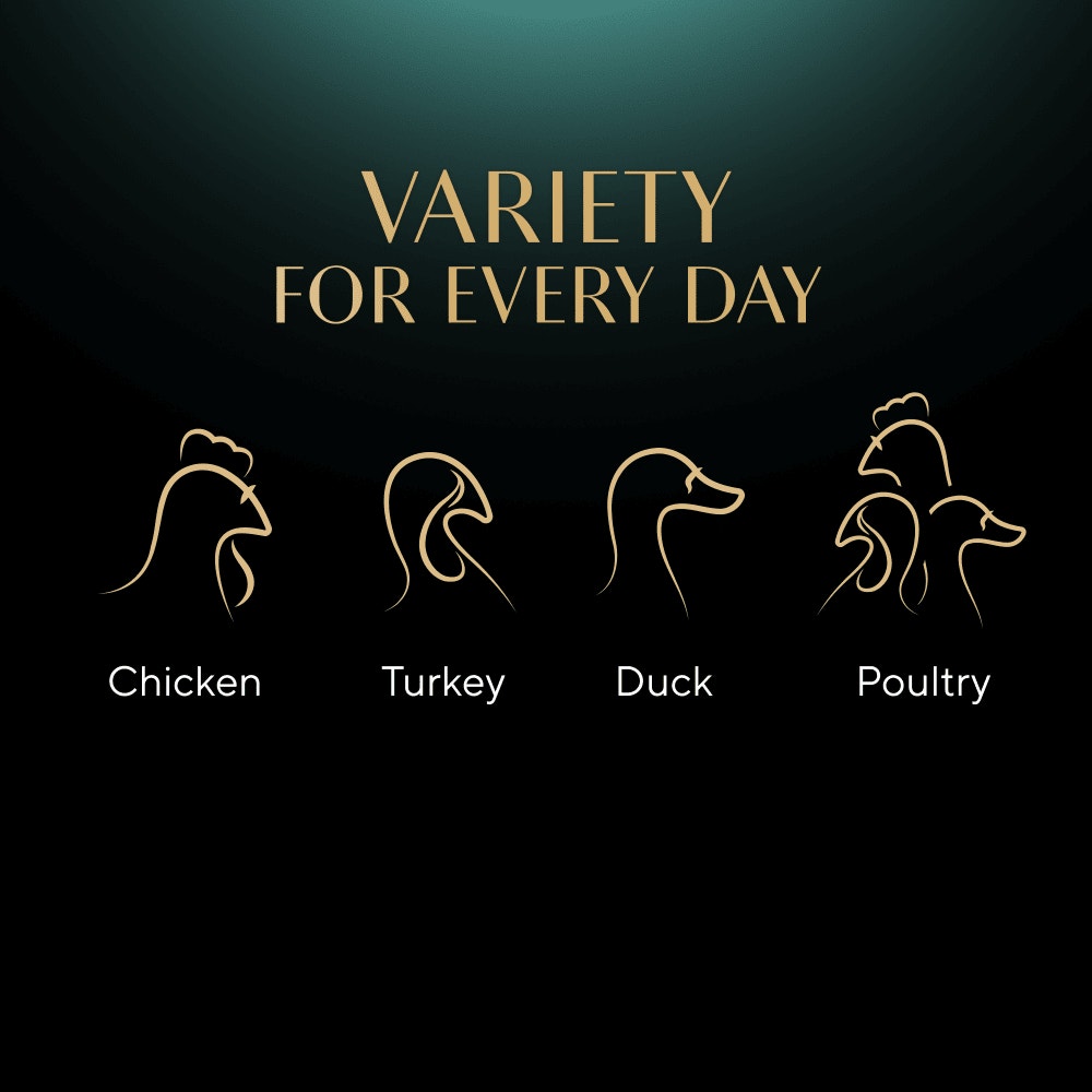 SHEBA® Nature's Collection Poultry in Jelly 12 & 40 x 85g - 4