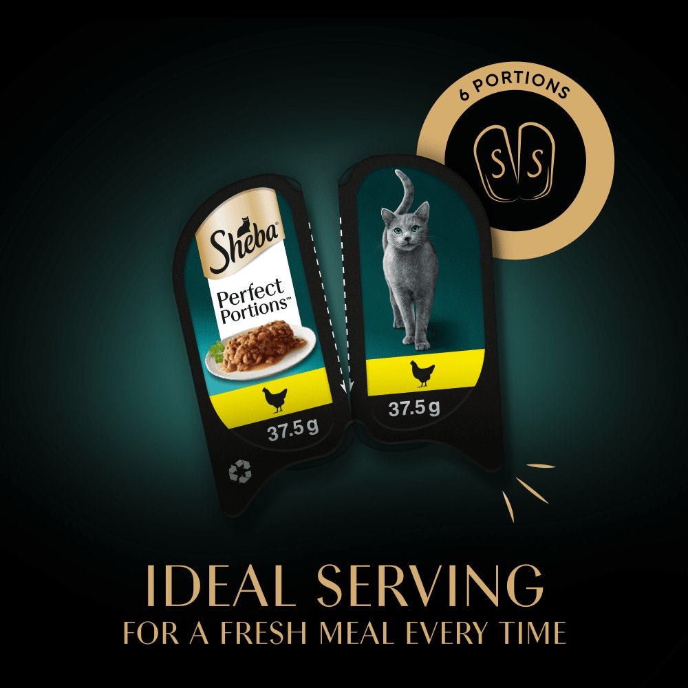 SHEBA® PERFECT PORTIONS™ Adult Wet Cat Food Chicken Loaf 3 x 2 x 37.5g Tray - 4