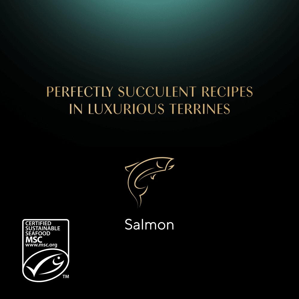 SHEBA® Classics Wet Cat Food Tray Salmon in Terrine 85g - 4