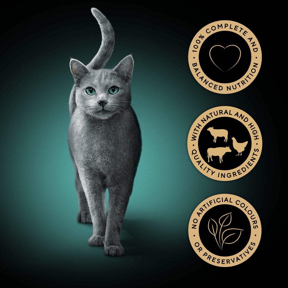 SHEBA® Fresh & Fine Adult Wet Cat Food Beef & Chicken Gravy 6 x 50g Pouches - 3