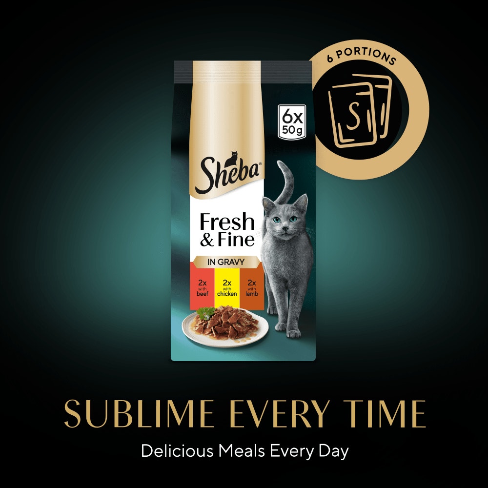 SHEBA® Fresh & Fine Adult Wet Cat Food Beef & Chicken Gravy 6 x 50g Pouches - 4
