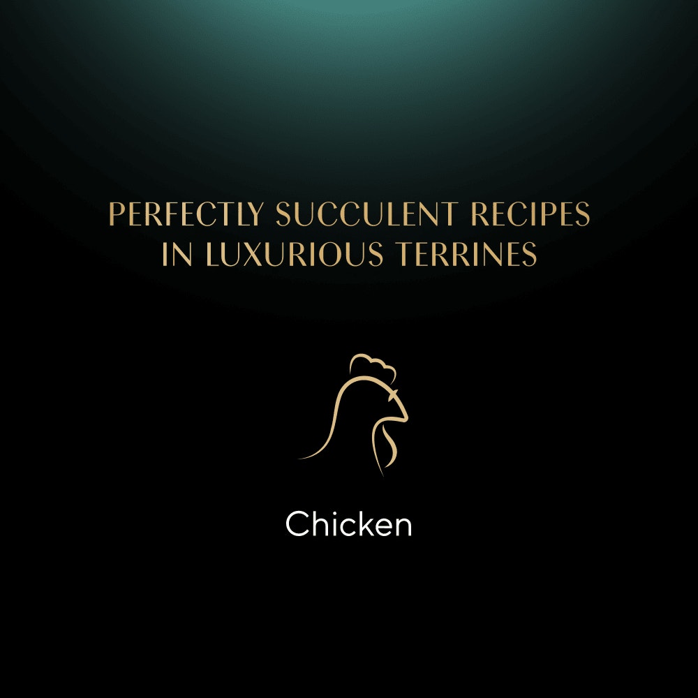 SHEBA® Classics Adult Cat Food with Chicken in Terrine 85g Tray - 4