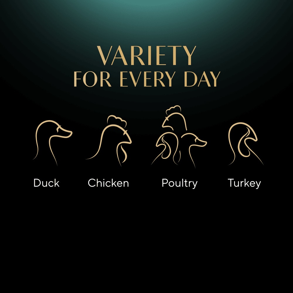 SHEBA® Sauce Collection Adult Cat Food  Poultry Selection 12 x 85g Pouch - 4