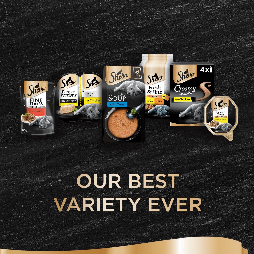 Sheba Classics Soup Adult Wet Cat Food Pouches with Tuna Filets 4 x 40g - 4