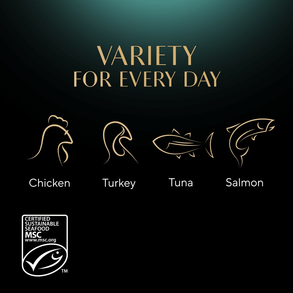 SHEBA® Nature's Collection Adult Cat Food Mixed in Gravy 40 x 85g Pouch - 4