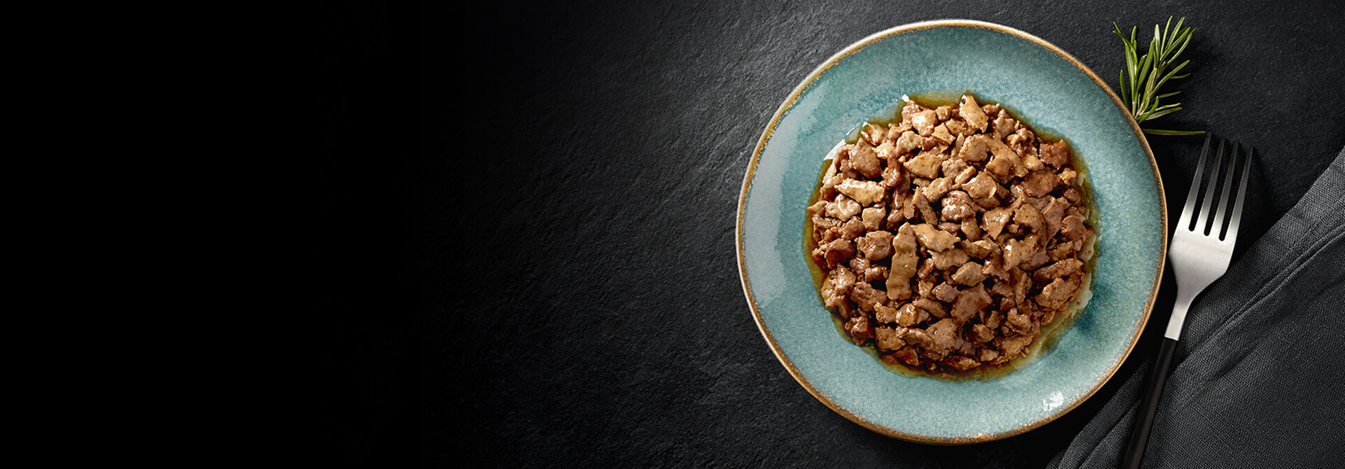 CAT FOOD IN GRAVY