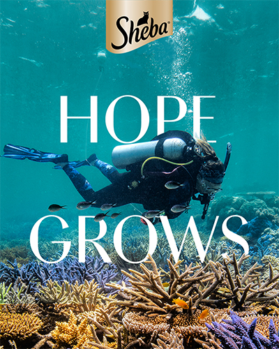 Hope grows