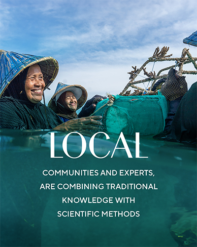 Local