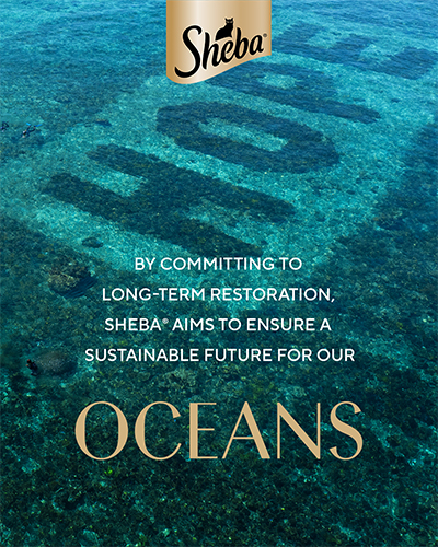 Oceans
