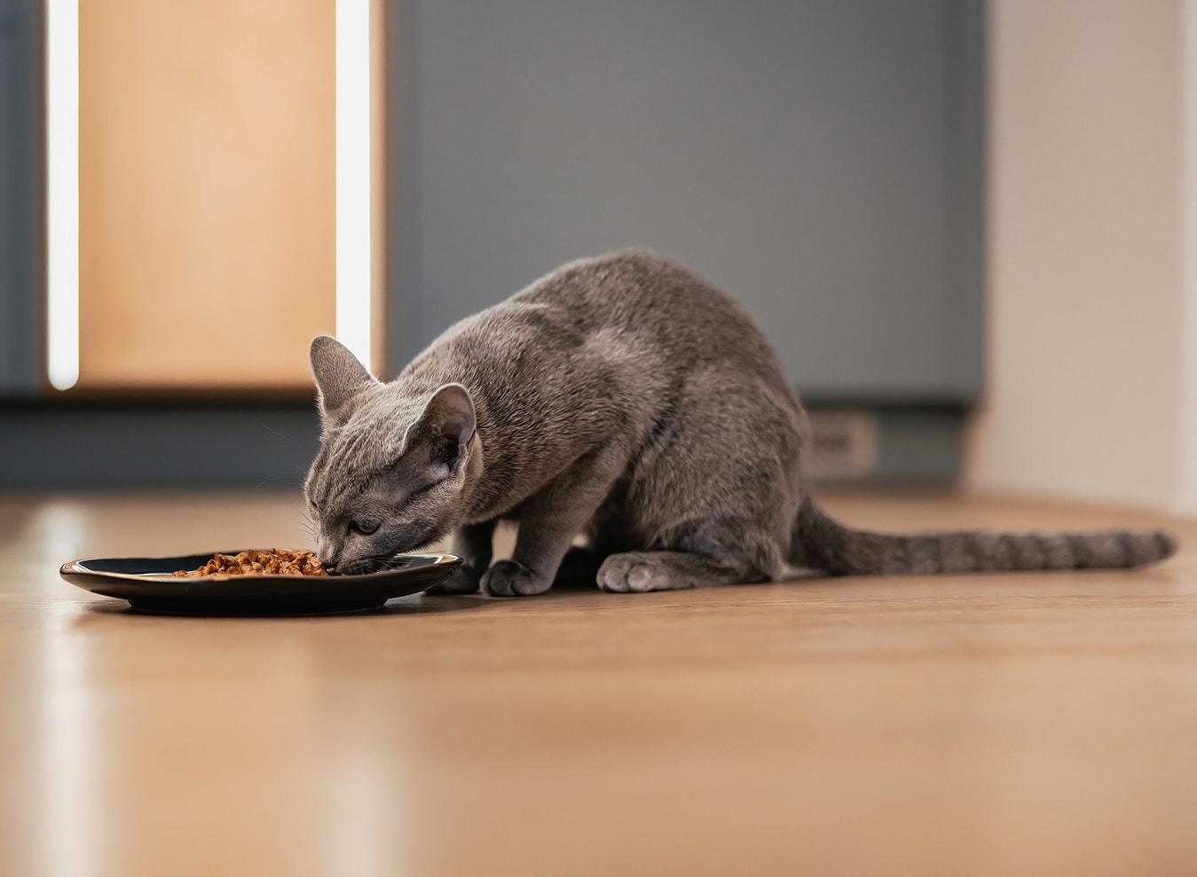 Feed the Bond, Not Just the Bowl