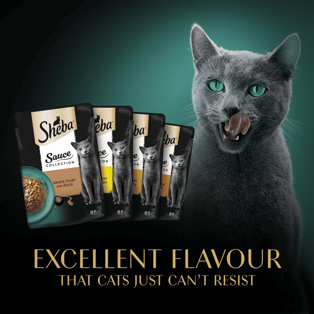 SHEBA® Sauce Collection Adult Wet Cat Food  Poultry Selection 12 x 85g Pouch - 6