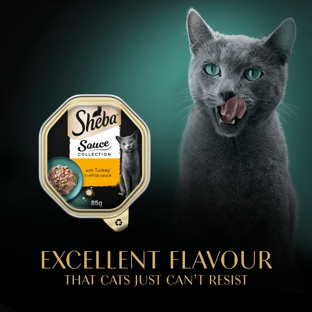 SHEBA® Sauce Collection Adult Cat Food with Turkey in White Sauce 85g Tray - 6