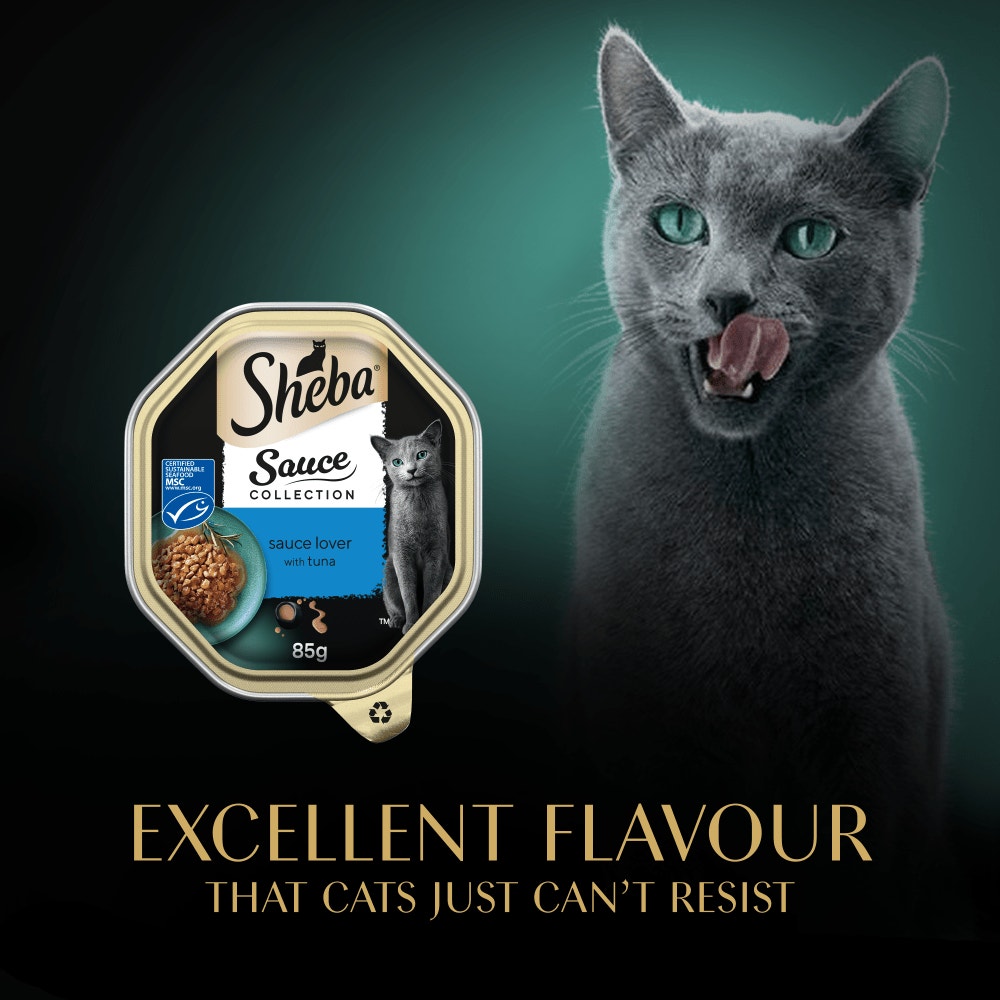 SHEBA® Sauce Collection Adult Wet Cat Food Sauce Lover with Tuna 85g Tray - 6