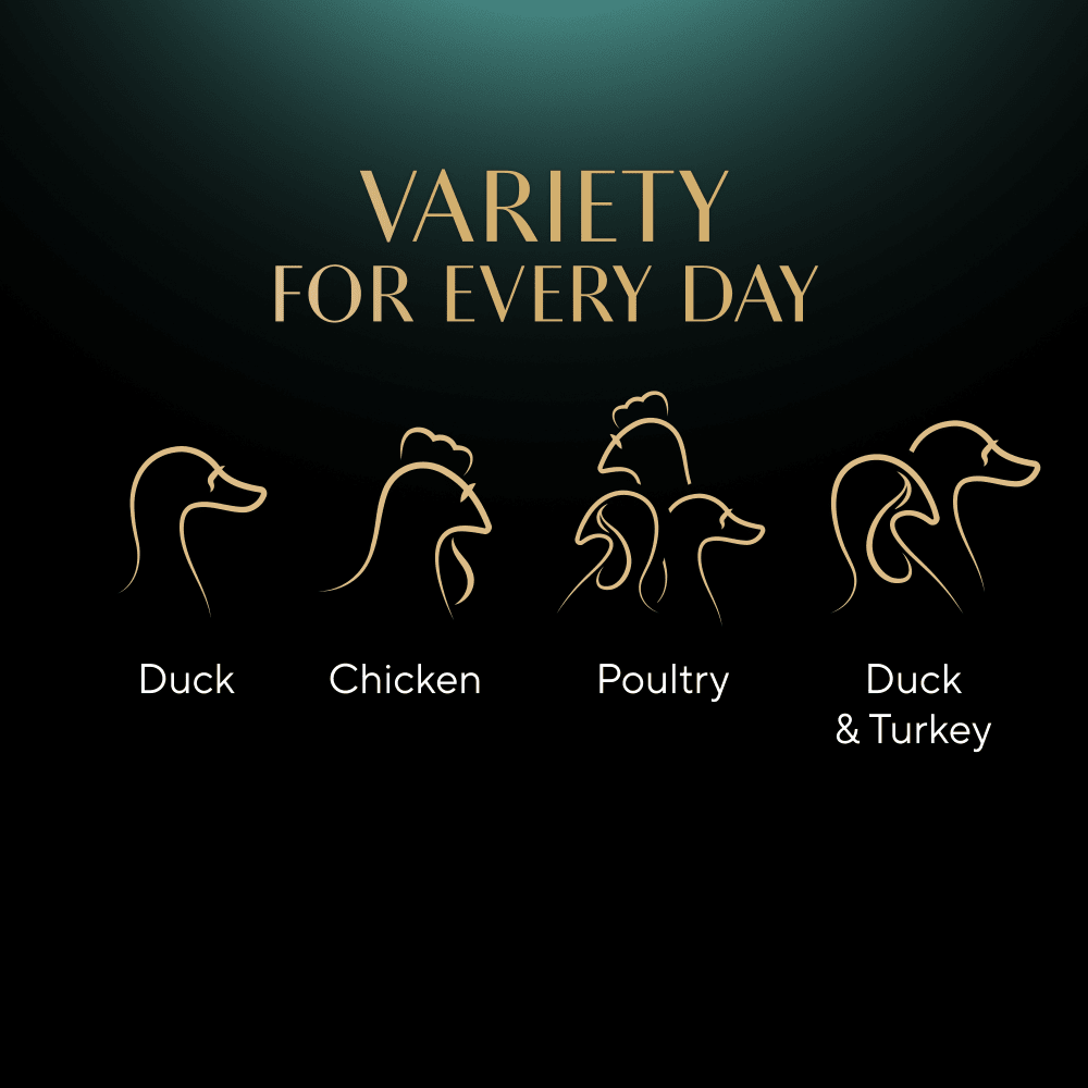SHEBA® Fine Flakes Poultry Selection in Jelly 12 & 40 & 80 x 85g - 4