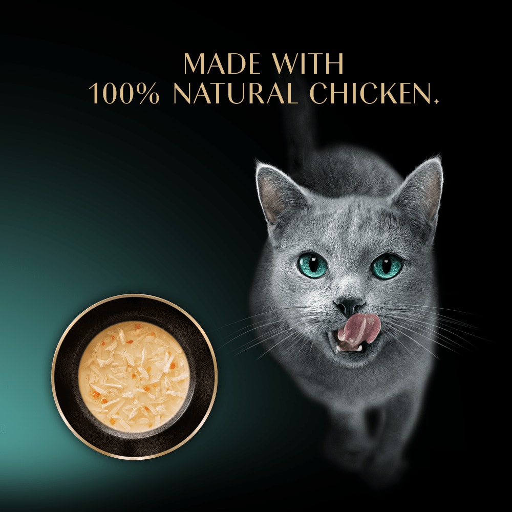 SHEBA Soup Adult Wet Cat Food Pouch with Chicken 4 x 40g - 4