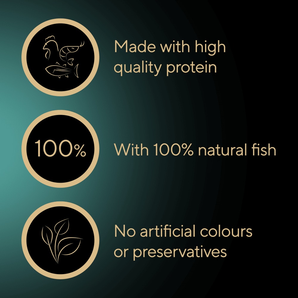 SHEBA Filets Adult Wet Cat Food With Chicken & Tuna in gravy 60g Tray - 3