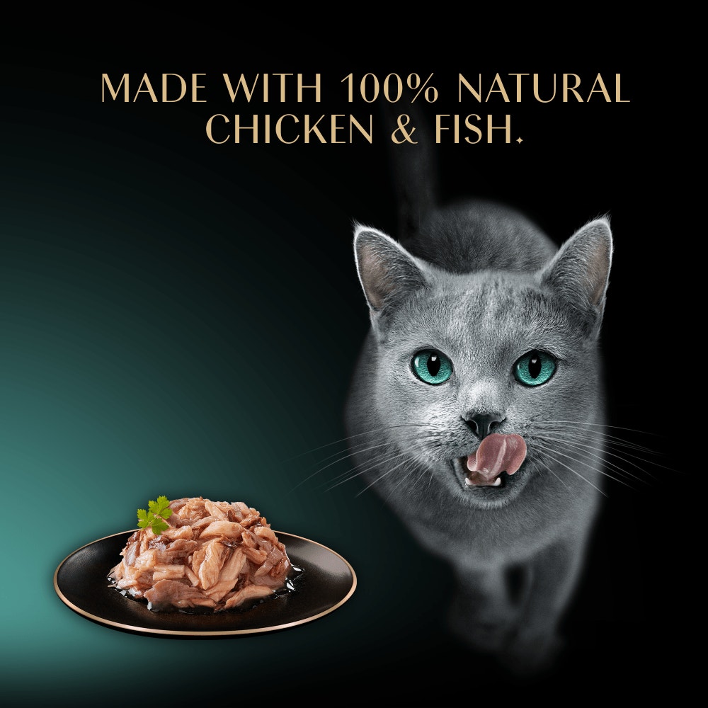 SHEBA Filets Adult Wet Cat Food With Chicken & Fish 6 x 60g Tray - 4