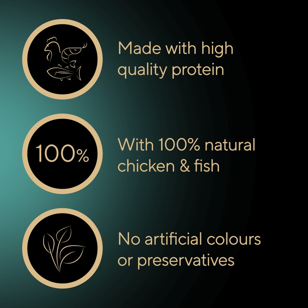 SHEBA Filets Adult Wet Cat Food With Chicken & Fish 6 x 60g Tray - 3