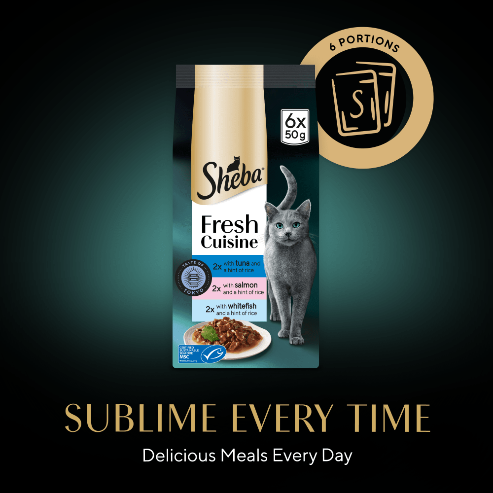 SHEBA® Fresh Cuisine Taste of Tokyo Wet Cat Food Fish in Gravy 6x50g Pouch - 4