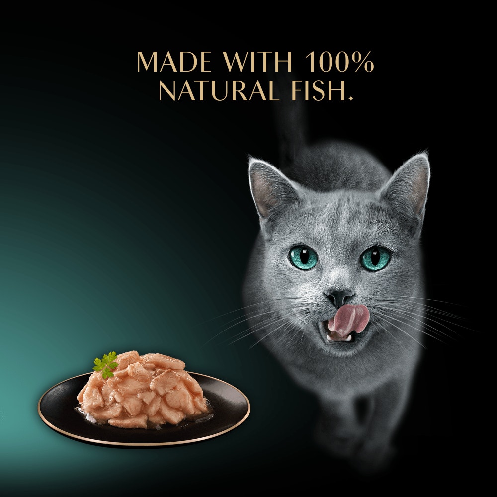 SHEBA Filets Adult Wet Cat Food With Whitefish in gravy 60g Tray - 4