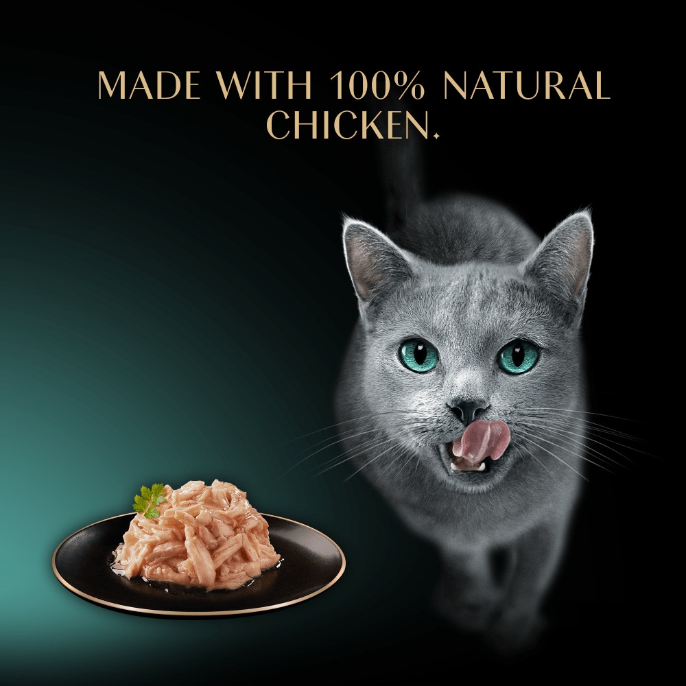 SHEBA Filets Adult Cat Food With Chicken in gravy 60g Tray - 4