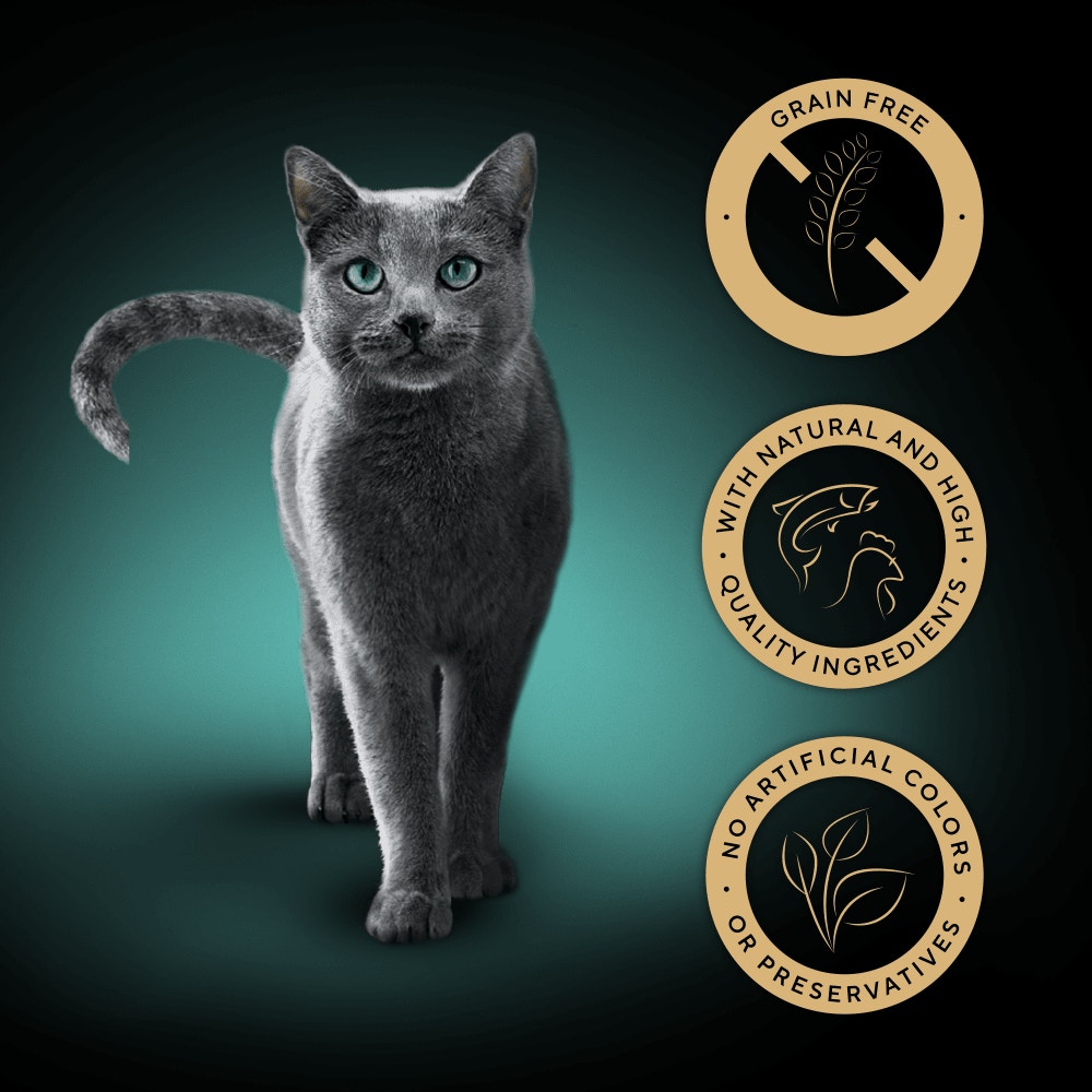 SHEBA® Nature's Collection Adult Cat Food Mixed Selection Gravy 8x85g Tray - 3