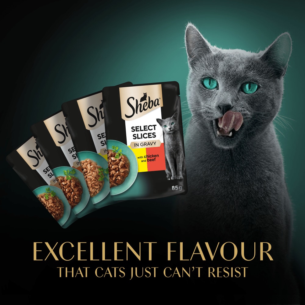 SHEBA® Select Slices Adult Wet Cat Food Succulent Selection Gravy 12x85g Pouch - 6