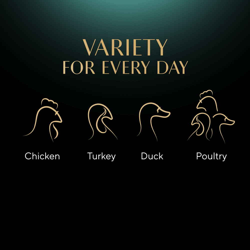 SHEBA® Nature's Collection Poultry in Jelly 12 & 40 x 85g - 4