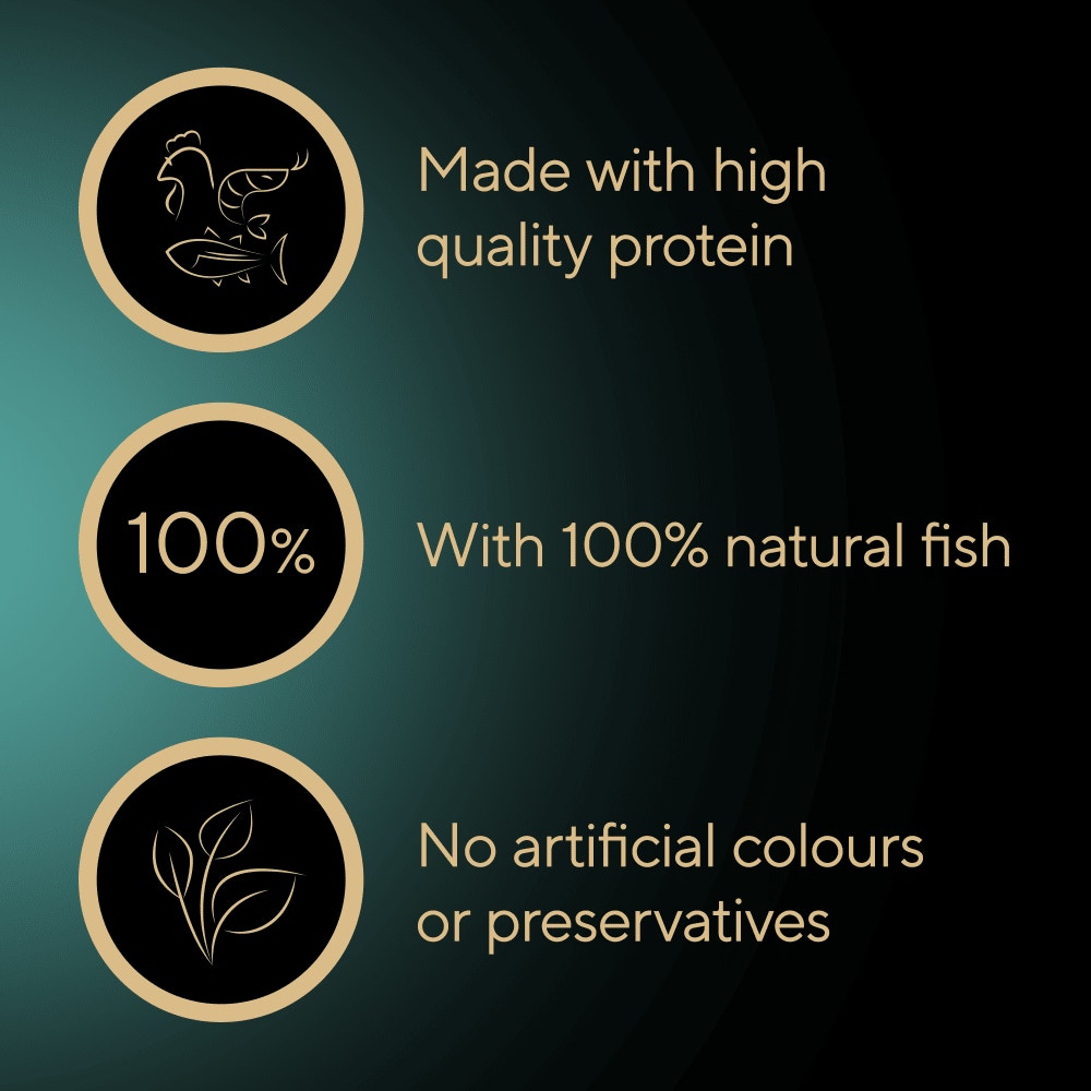 SHEBA Filets Adult Wet Cat Food With Whitefish in gravy 60g Tray - 3