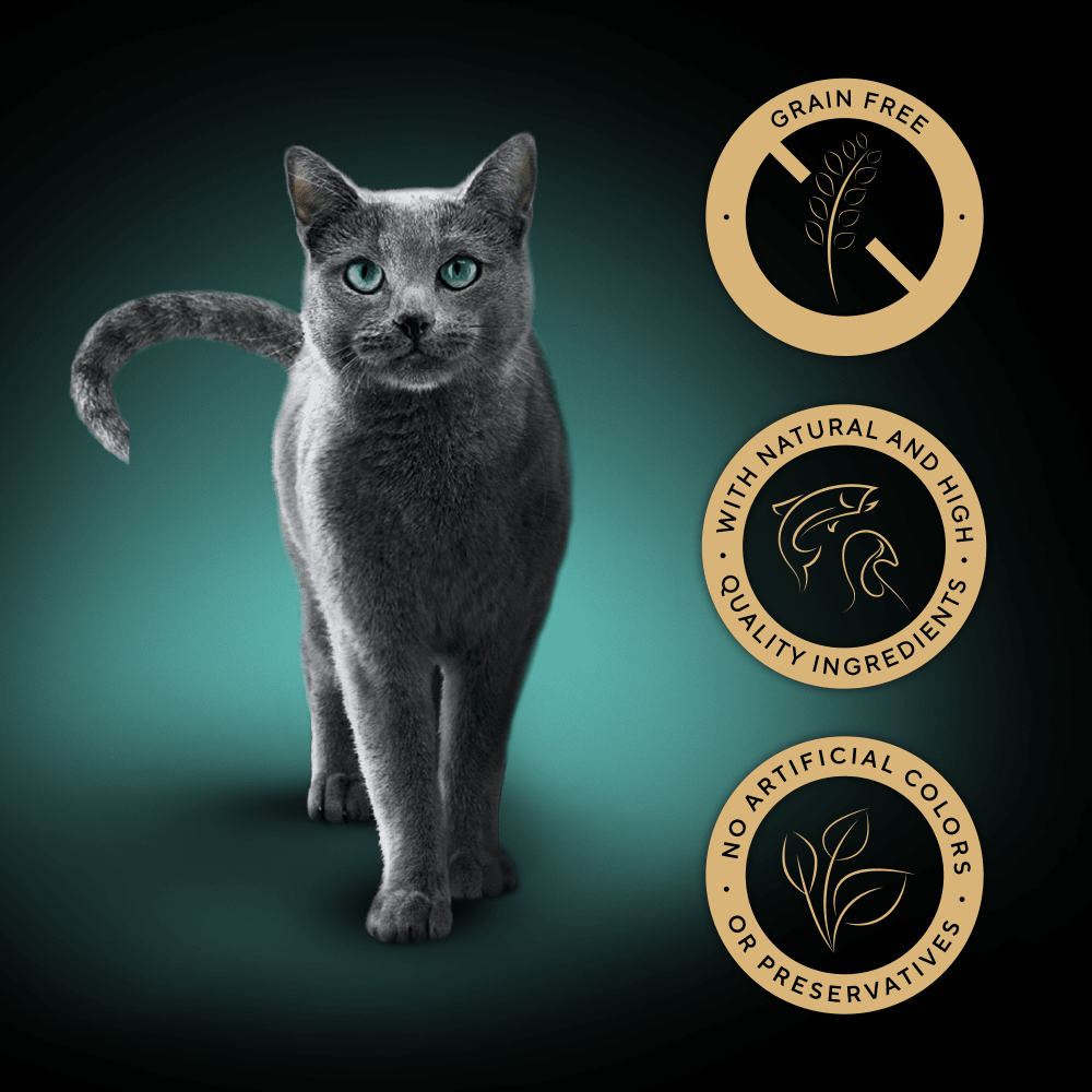 SHEBA® Nature's Collection Adult Wet Cat Food Mixed in Gravy 40 x 85g Pouch - 3