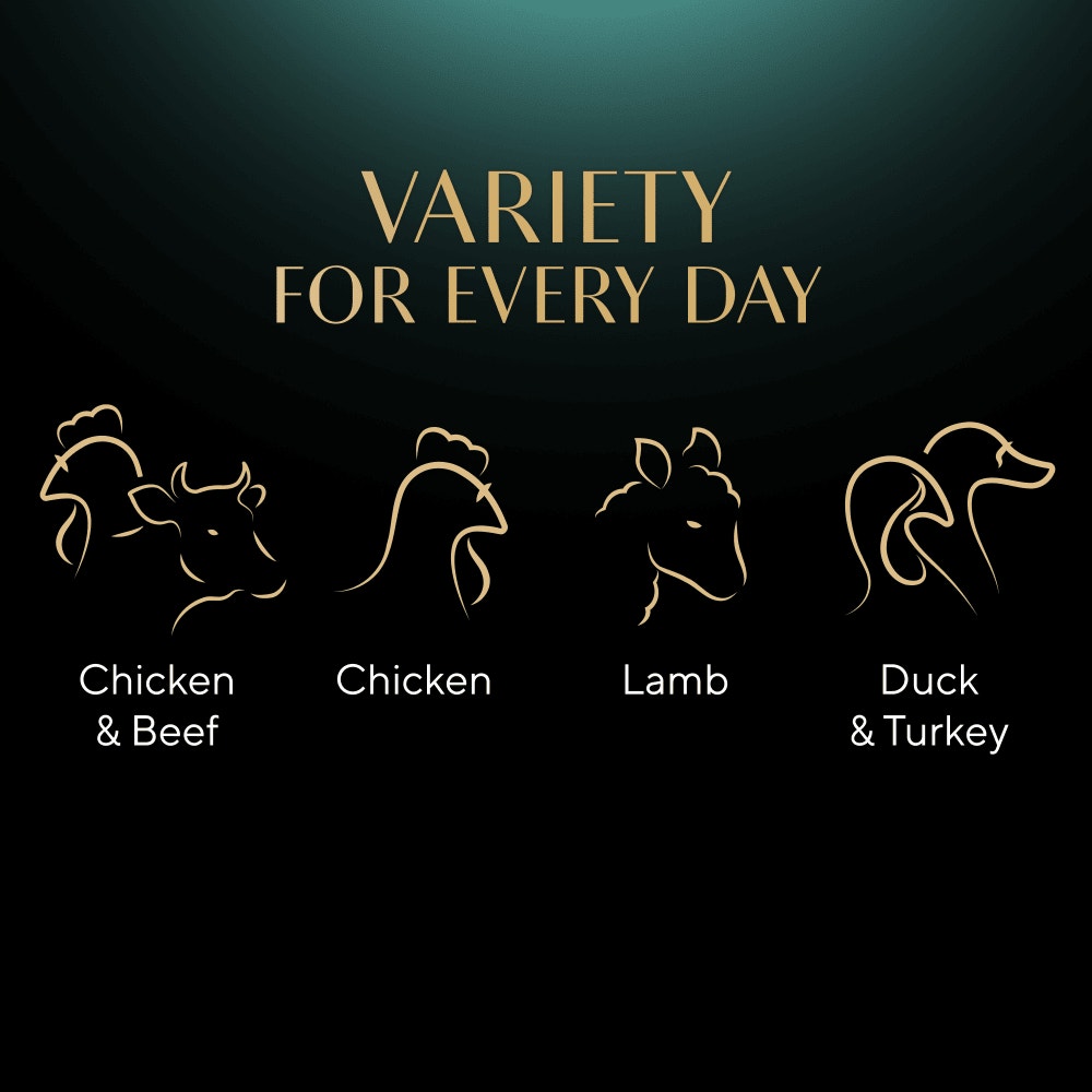 SHEBA® Select Slices Adult Wet Cat Food Succulent Selection Gravy 12x85g Pouch - 4