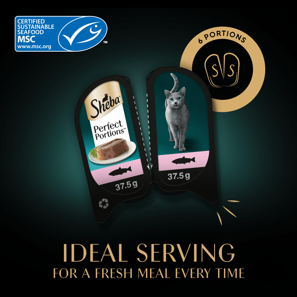 SHEBA® PERFECT PORTIONS™ Adult Wet Cat Food Salmon Loaf 3 x 2 x 37.5g Tray - 4