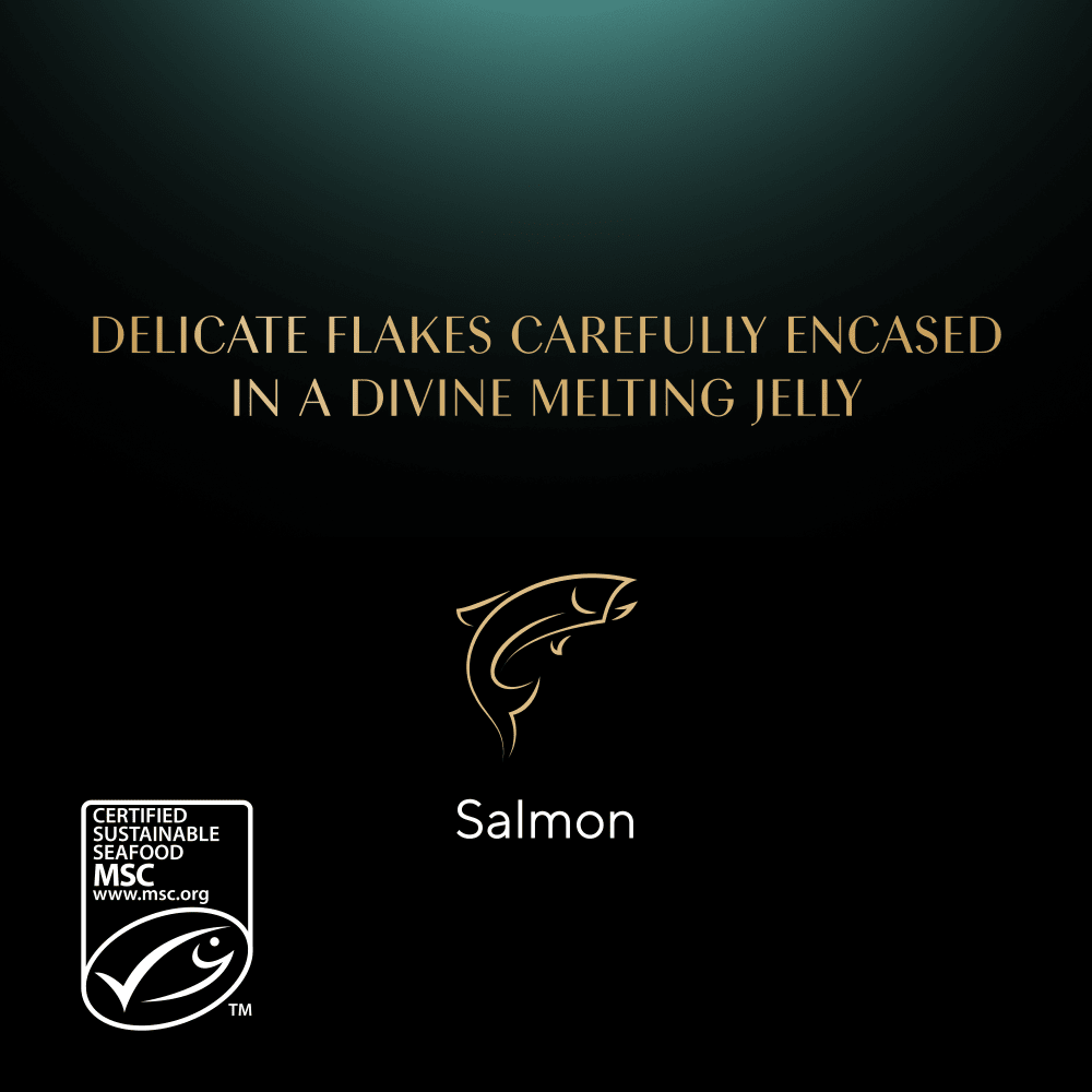SHEBA® Fine Flakes Adult Wet Cat Food with Salmon Jelly 85g Tray - 4