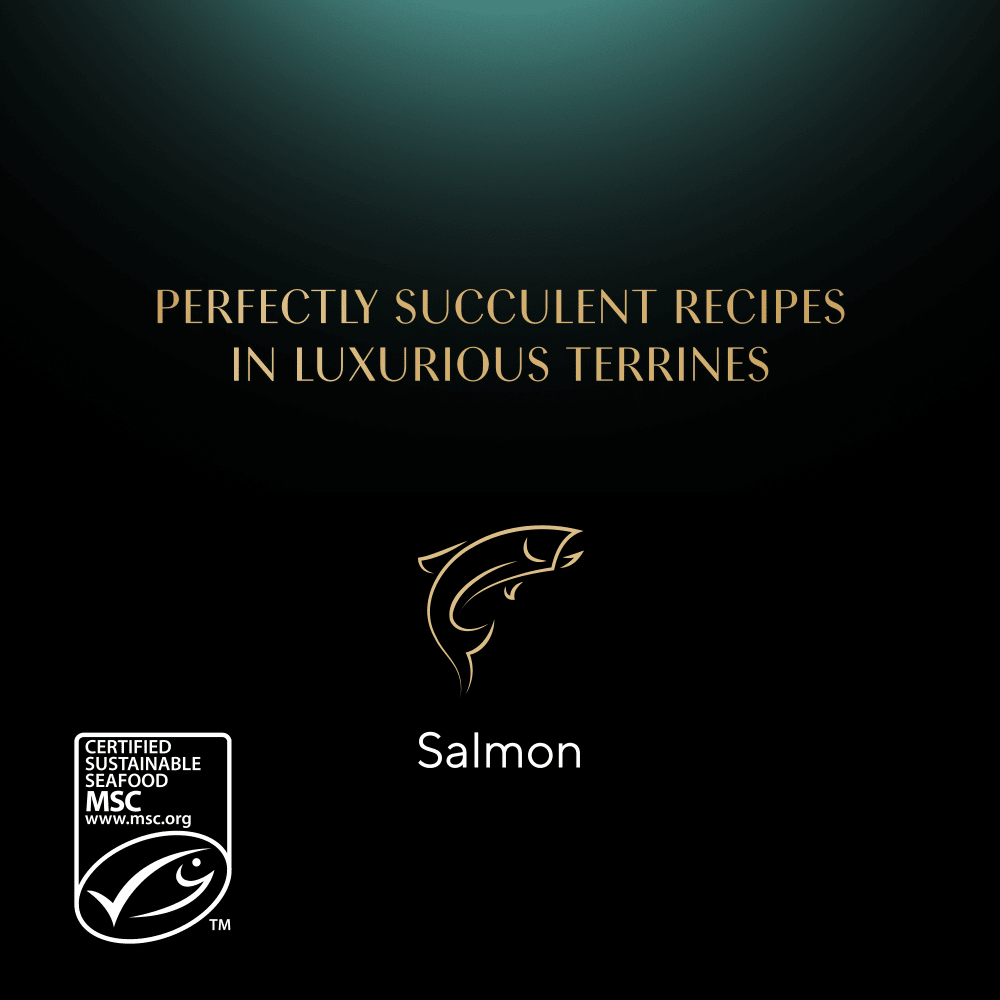 SHEBA® Classics Wet Cat Food Tray Salmon in Terrine 85g - 4