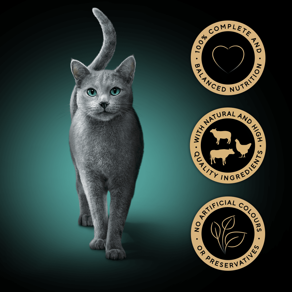 SHEBA® Fresh & Fine Adult Wet Cat Food Beef & Chicken Gravy 6 x 50g Pouches - 3