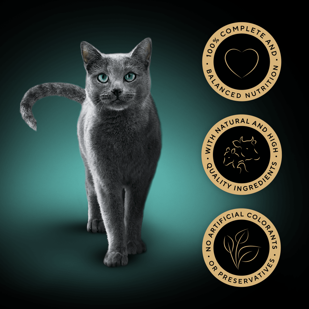 SHEBA® Fine Flakes Adult Wet Cat Food Succulent Selection in Jelly 12x85g Pouch - 3