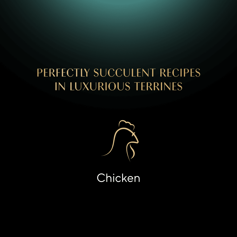 SHEBA® Classics Adult Cat Food with Chicken in Terrine 85g Tray - 4