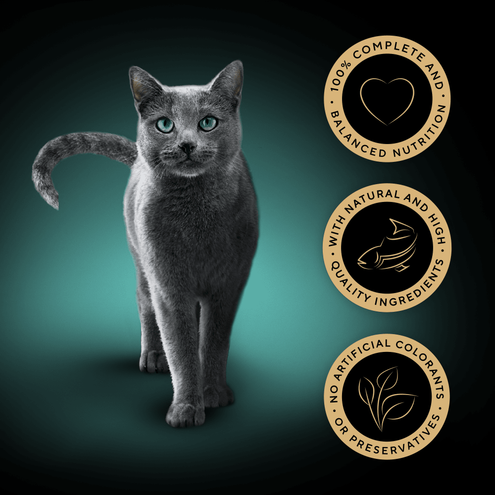SHEBA® Select Slices Adult Wet Cat Food Fish Selection in Gravy 12 x 85g Pouch - 3