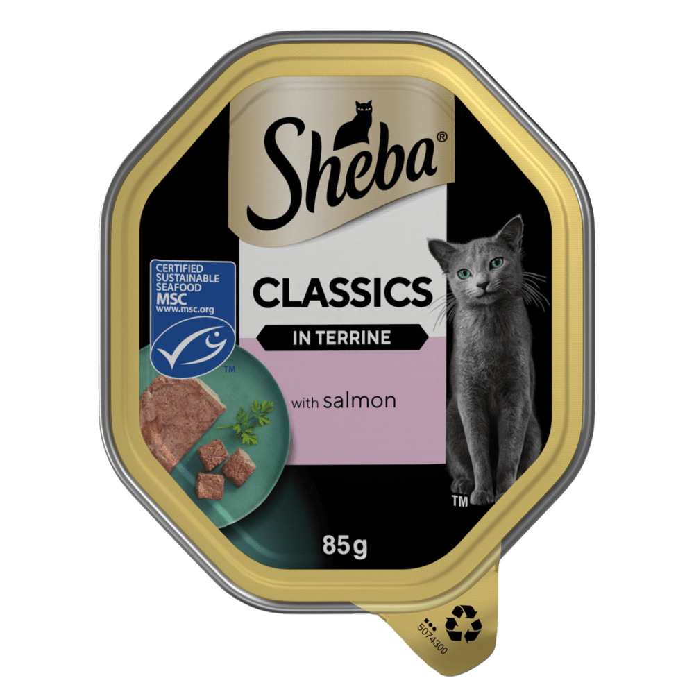 SHEBA® Classics Wet Cat Food Tray Salmon in Terrine 85g - 1